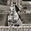 Brooke Pfeiffer