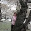 Angie Phillips