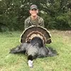 Austin Dorrell