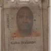 luke waipape