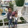 Mohd Arif