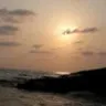 Harshitha