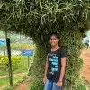 Merlin Navalan