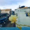Maha Lakshmi