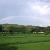 jabeen sadaf