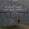 shehla Latif