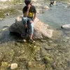 CA Saurav Goyal
