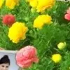 Heena Akbar