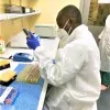 IBRAHIM SADIQ KOROMA