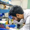 Anuj Kumar Jangir