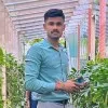 subhash kurade