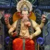 Chauhan mitesh