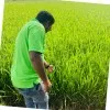 Gaddam Ajay