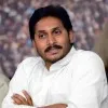 Nagarjuna Reddy kandula