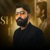 M Shahzaib