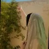 Maryam Akbar