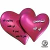 Sayed Qamar