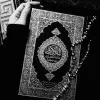 Aleena Ashraf
