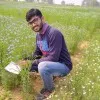 PRAMOD KUMAR PRAJAPATI