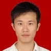 Telice liu