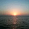 Jay Simha