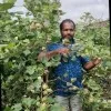 Ravinder Ravinder