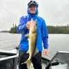 George Leddy