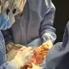 Fatima Tuz Zahra Shakir