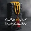 aqsa khurshid