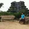 Saiful Arifin