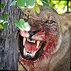 Sunil Singh