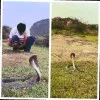Kapil