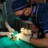 Saied Unn Nur Sristy
