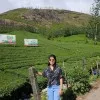 CA Nidhi Jain