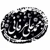 Mohammad Ali Erfani