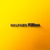Gulfams Fusion