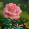 Adhiseshan
