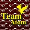 Team Atom Chandigarh