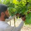 Avinash Nikam