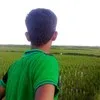 Basava srg
