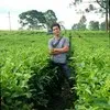Edi Saputra