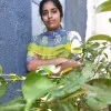 Naveena Shankar