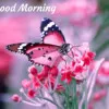 Naghma Israil