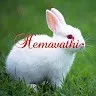 Hema Vathi