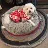 Jenny