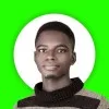 Johnson Akinkunmi