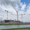 Daniel Wood