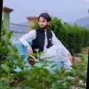 Haider Ali
