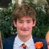 Wiltshire Doyle