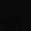 Walt Roth CPIM